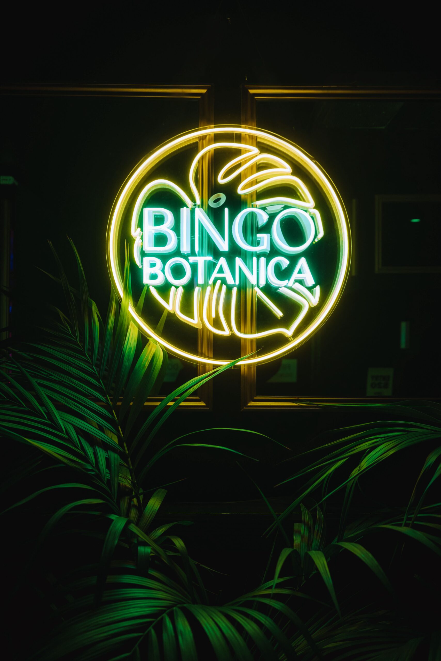 Bingo Botanica on Instagram